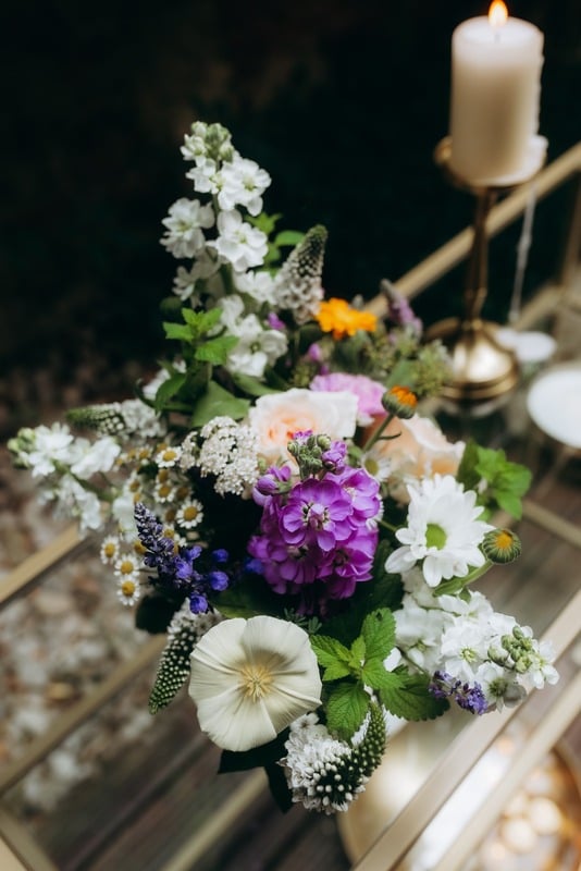 Ekologické a přírodní varianty